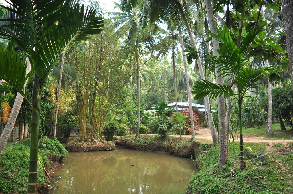 Soba Lanka Holiday Resort Melsiripura Exterior foto